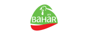 bahar-hindi logosu