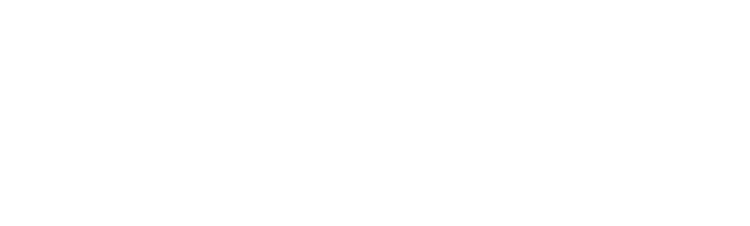 XENON SMART